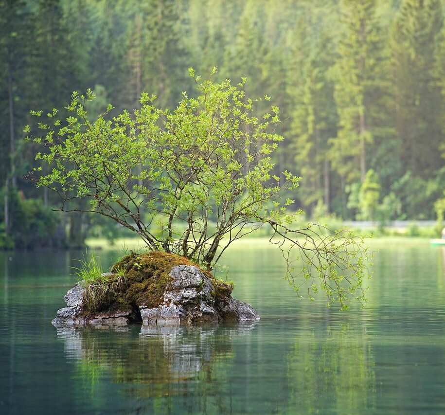 waters, nature, lake-3095682.jpg